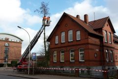 Auch auf den Grundstücken Lindhooper Straße 48 und 50 mussten Bäume gefällt werden.
