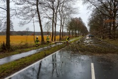 Während eines starken Regenschauers stürzte ein Baum auf die L158 zwischen Verden und Langwedel.