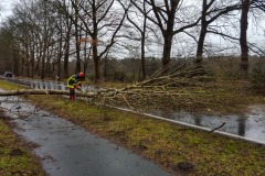 Sägearbeiten am auf der Straße liegenden Baum.