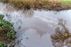 20160305_OeleinsatzEitze01_koehler