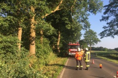 Mehrere Äste hingen abgebrochen in der Baumkrone fest und drohten herunterzufallen.
