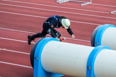 Staffellauf: Der \"Rohrspringer\" kurz vor dem Durchqueren des Kriechtunnels.