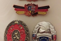 Diese Abzeichen erlangte das Verdener Team an diesem Wochenende.