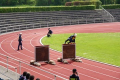 Dabei standen vor allem Schnelligkeit und Geschicklichkeit auf dem Prüfstand wie hier beim Staffellauf.