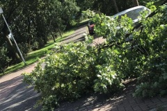 Am Schnuckenstaller Weg versperrte ein größerer Ast die Fahrbahn.