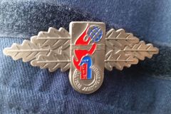 Die Leistungsspange der Deutschen Jugendfeuerwehr.