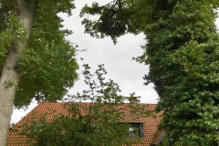 Zerbrochene Baumkrone hängt noch im Baum fest und hatte bereits erhebliche Schäden an einem Wohnhaus in Dauelsen angerichtet.