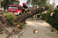 Entwurzelter Baum in der Friedrichstraße.