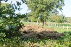 Das auseinander gezogenen und abgelöschte Heuballen.