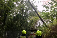 In Dauelsen waren zwei Bäume über einen Fußweg gestürzt.