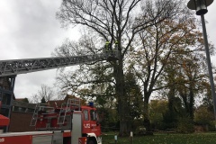 Bei mehreren Einsätzen leitete die Drehleiter der Ortsfeuerwehr Verden am vergangenen Wochenende wertvolle Hilfe