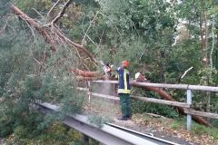 An mehreren Stellen blockierten umgestürzte Bäume die Fahrbahnen.