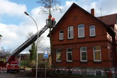 26.02.2016 - Baumfällarbeiten auf den Grundstücken Lindhooper Straße 50 und 48 im Rahmen eines Ausbildungsdienstes durch die Ortsfeuerwehr Verden.