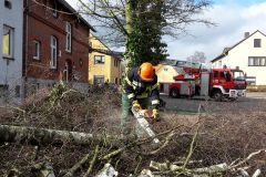 26.02.2016 - Baumfällarbeiten auf den Grundstücken Lindhooper Straße 50 und 48 im Rahmen eines Ausbildungsdienstes durch die Ortsfeuerwehr Verden.