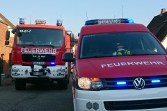 Einsatzfahrzeuge im Waldweg.