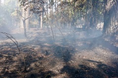 Nach dem Feuer.