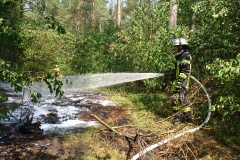 Rund 100 Quadratmeter Unterholz brannten.