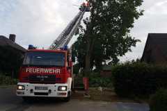 Erneuter Einsatz für die Drehleiter - Sturmschaden in Langwedel-Daverden.