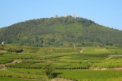 Die Umgebung des Campingplatzes in Eguisheim.