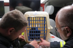 Nach der Rettung war auch die eine oder andere Einsatzkraft von dem Stubentiger begeistert.