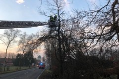 Die Drehleiter kam in der Ortschaft Holtebüttel zum Einsatz.