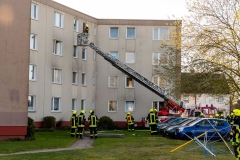 Zahlreiche Menschen mussten über tragbare Leitern wie auch eine Drehleiter aus dem Gebäude gerettet werden.