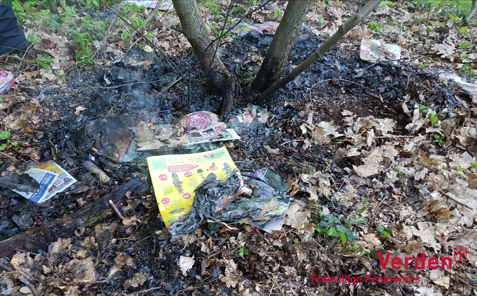 Eine der beiden Brandstellen im Verdener Stadtwald.