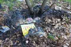 Eine der beiden Brandstellen im Verdener Stadtwald.