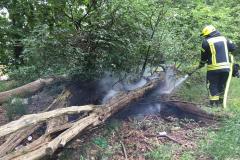 Zügig konnte der Flächenbrand in der Friedrichstraße gelöscht werden.