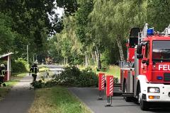 20190707_BaumaufStrasse01_hestermann