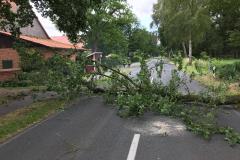 20190707_BaumaufStrasse02_hestermann