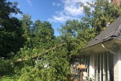 Baum liegt auf Hausdach.