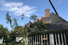 Die Absturzsicherungsgruppe der Stadtfeuerwehr Verden entastete den Baum und befestigte diesen am Kran.