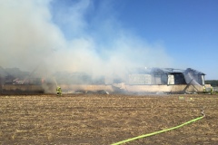 Am Samstagmittag brannte ein Rinderstall in voller Ausdehnung.
