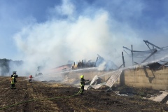Am Samstagmittag brannte ein Rinderstall in voller Ausdehnung.