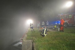 Der PKW wir durch die Feuerwehr gesichert.