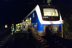 Um den Fahrgästen den Ausstieg aus dem Zug zu erleichtern, wurde eine Rettungsplattform in Stellung gebracht.