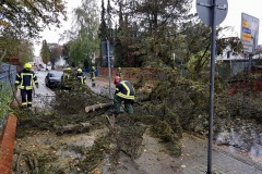 In der Zollstraße stürzte ein Baum auf die Straße und beschädigte umliegende Grundstücksmauern.