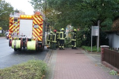 Baum auf Gehweg an der Hamburger Straße, mithilfe einer Bügelsäge und Muskelkraft konnte dieser schnell beseitigt werden.