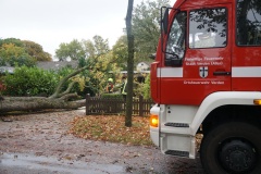In der Eisseler Straße stürzte ein Baum auf ein Haus und blieb anschließend auf einem in einer Hofeinfahrt abgestellten PKW liegen.
