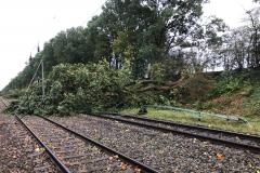 Die Bahnstrecke Verden-Rotenburg wurde in Höhe des Waller Bahnhofs durch zahlreiche umgestürzte Bäume blockiert.