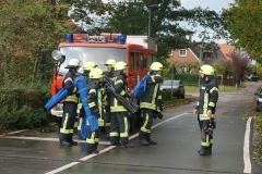 Da die Oberleitung samt Masten an mehreren Stellen ebenfalls zerstört wurde, rückte die Ortsfeuerwehr Dauelsen zur Erdung der Oberleitung an.