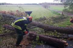 Im Osterfeld stürzte ebenfalls ein Baum auf die Straße und musste durch die Feuerwehr entfernt werden.
