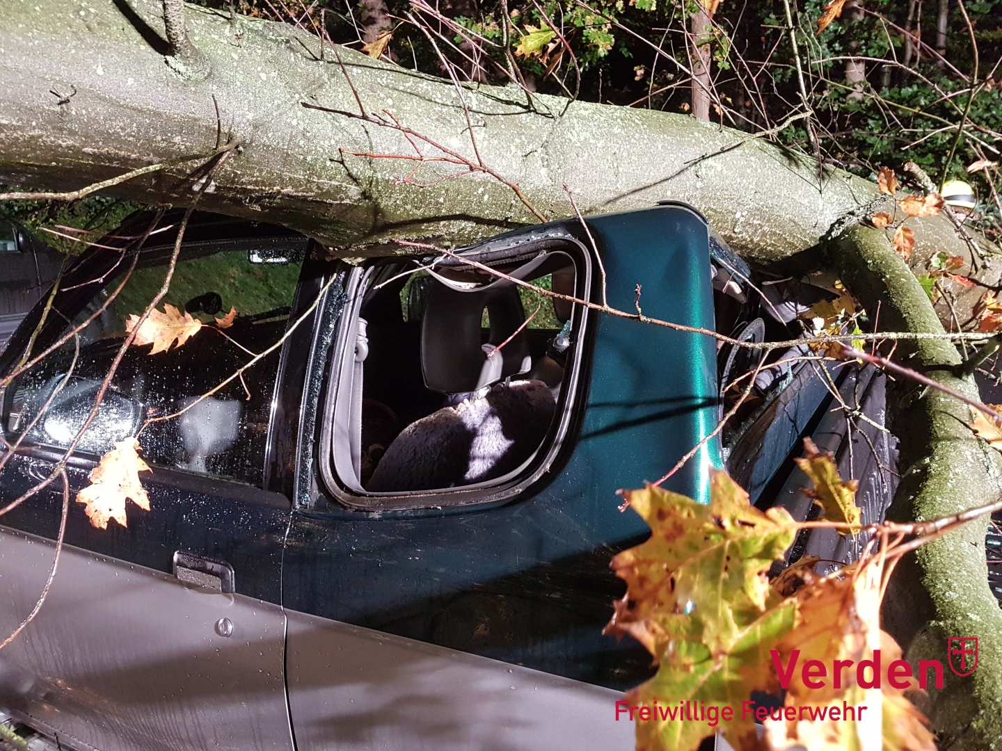 Das Fahrzeug wurde durch den Baum erheblich beschädigt.