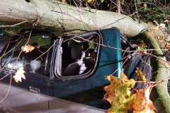 Das Fahrzeug wurde durch den Baum erheblich beschädigt.