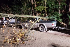 Der Baum war genau auf den Pickup gestürzt.