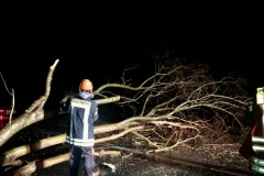 Auf der Achimer Straße kollidierte ein PKW mit einem auf der Fahrbahn liegenden Baum – verletzt wurde niemand, die Ortsfeuerwehr Dauelsen räumte die Fahrbahn.