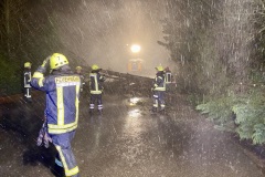 In der Borsteler Dorfstraße wurde ein Baum gespalten und stürzte teilweise auf die Fahrbahn – die Ortsfeuerwehr Verden beräumte diese anschließend.