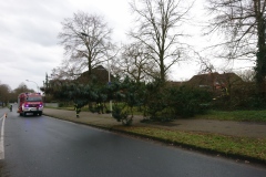In Verden geriet ein Baum am Berliner Ring derart in Schieflage, dass er umzustürzen drohte und durch die Feuerwehr gefällt werden musste.