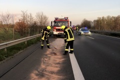Zudem musste eine durch den PKW verursachte Ölspur abgestreut werden.